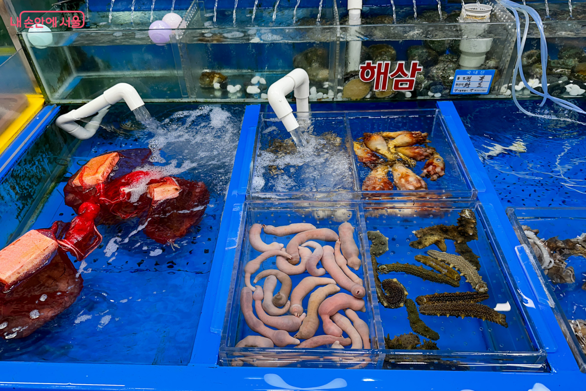 싱싱한 해산물을 볼 수 있는 수산물 상가 &copy;최준혁