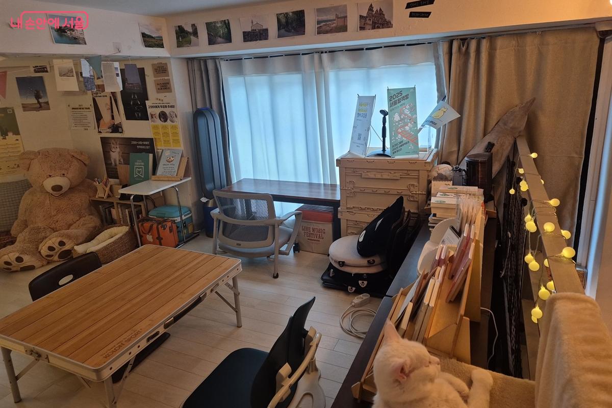 고양이가 상주하는 2층 다락방 공간 ©송수연