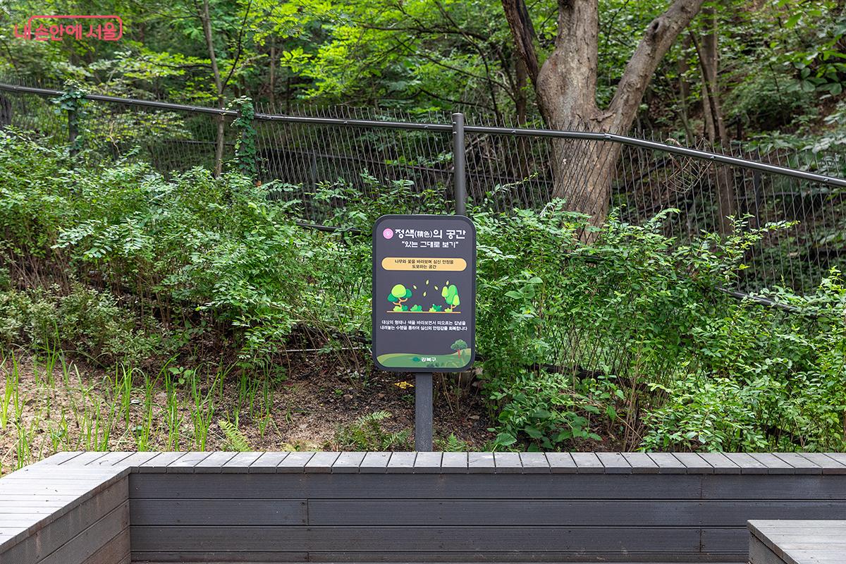 푸른 숲과 다양한 식물의 색감을 온전히 느낄 수 있는 정색의 공간 ©문청야