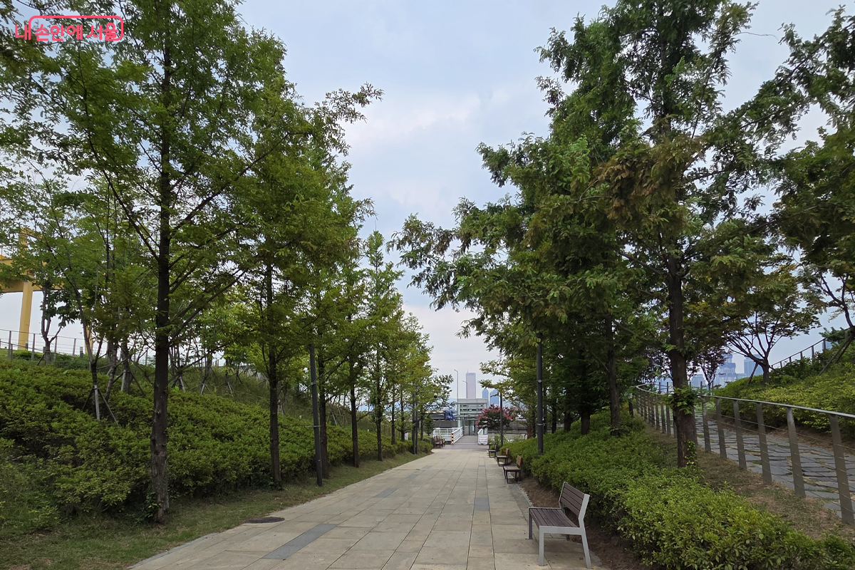 새빛문화숲 물놀이장 앞 나무길을 따라 가면 한강조망을 할 수 있다. &copy;장미화