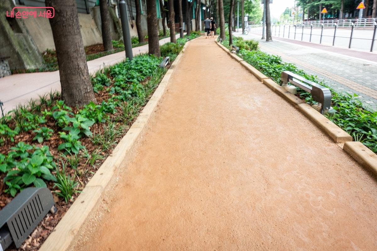 황톳길은 반려동물 출입 금지 구역이다. &copy;이진형