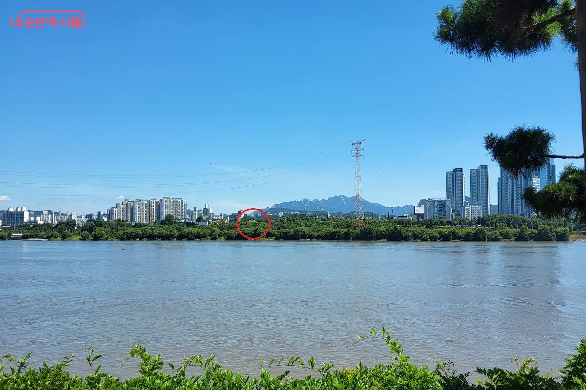 선유정에서는 한강 건너 기와지붕의 망원정(붉은 원)이 보인다. ©권수진