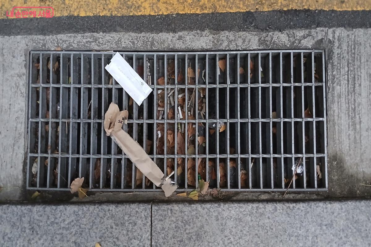 쓰레기와 낙옆으로 막힌 빗물받이 ©유지민