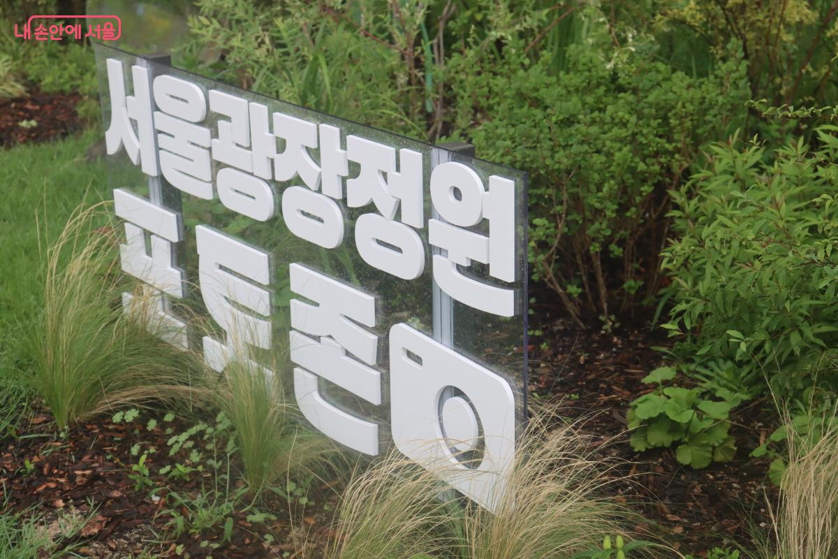 서울시는 21년 만에 서울광장을 잔디로 꾸몄다. &copy;조수연