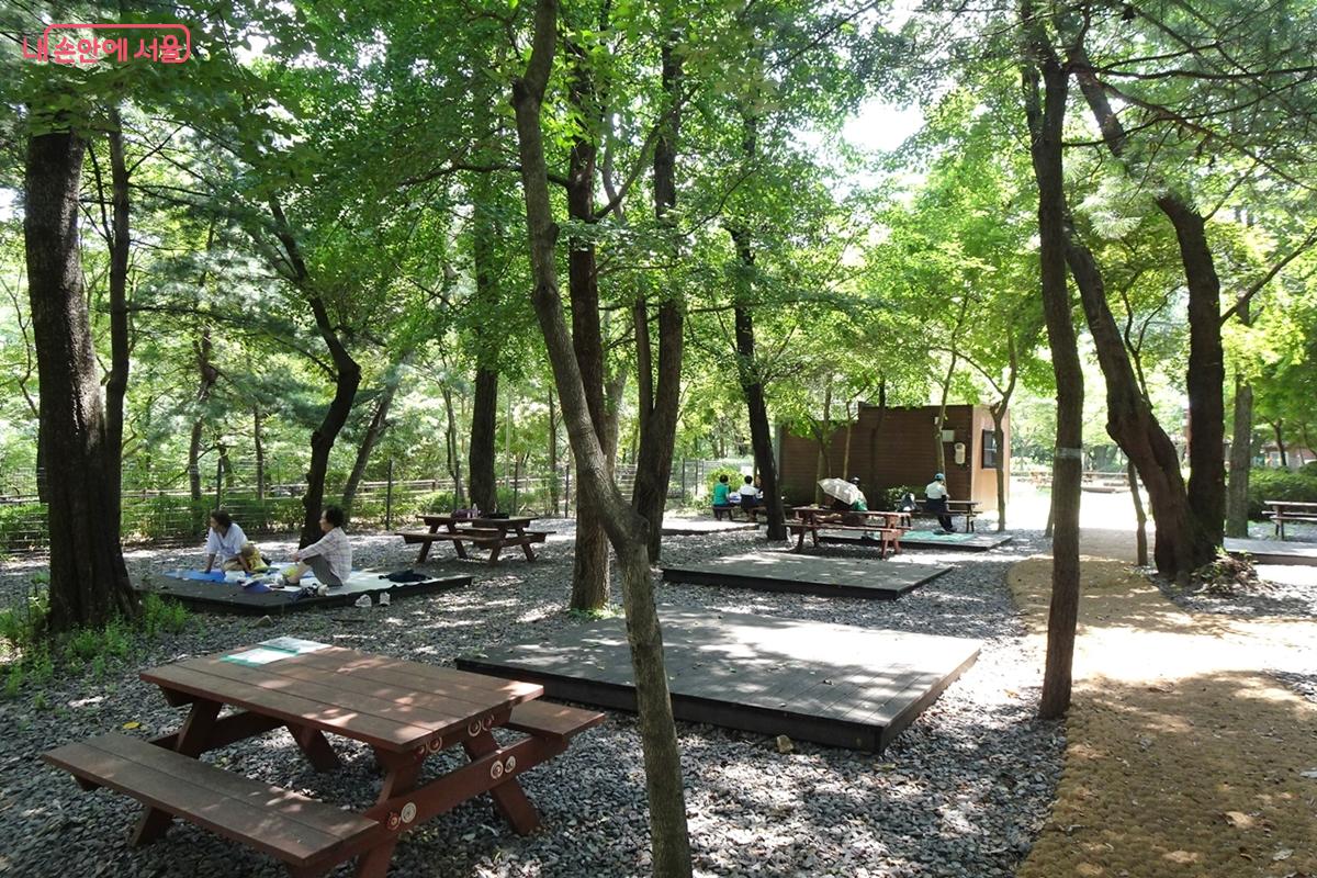 계곡에서 야영을 할 수 있는 '관악산 캠핑숲' &copy;김종성