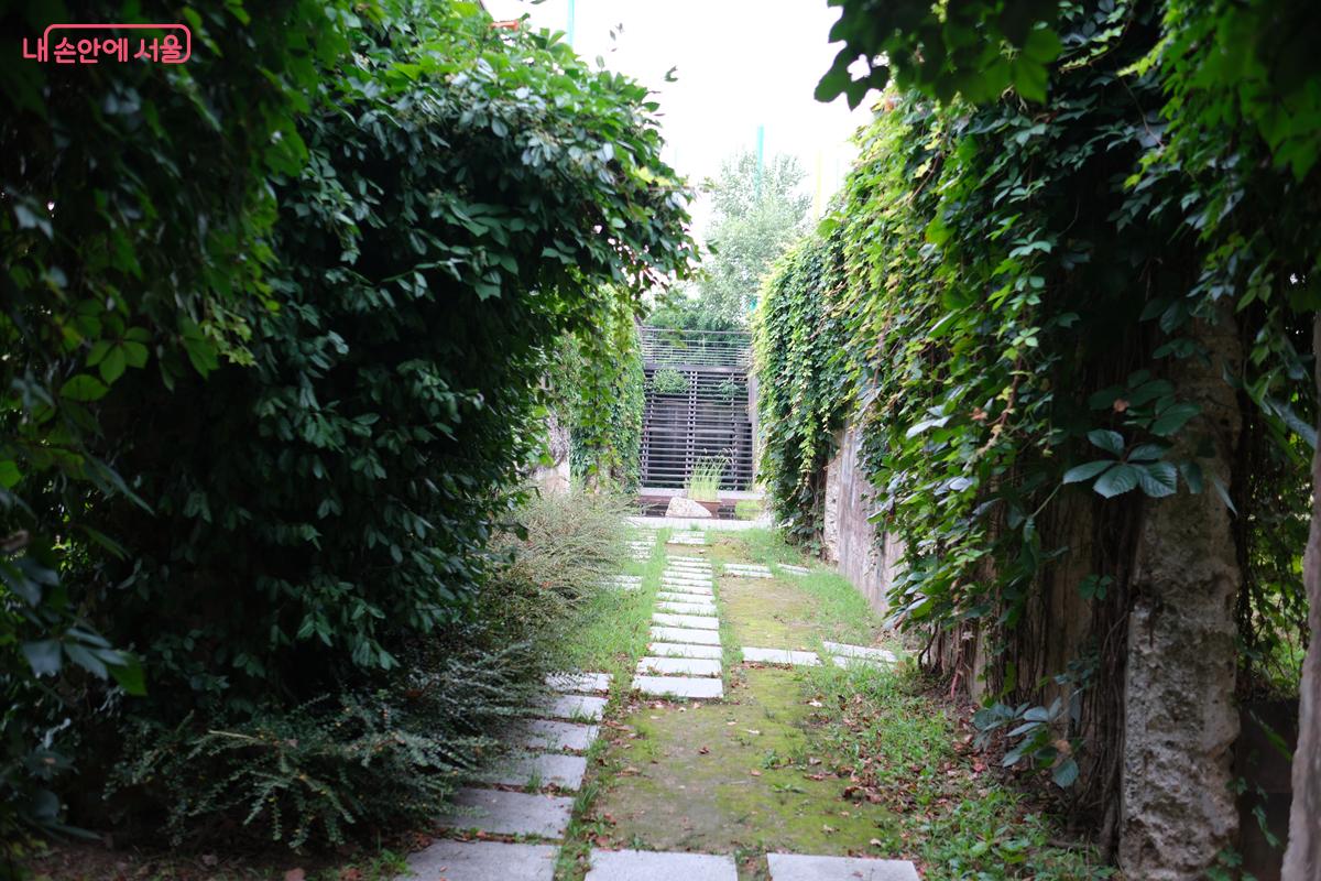 초록초록한 넝굴로 뒤덮인 외벽과 기둥들 ©박우영  