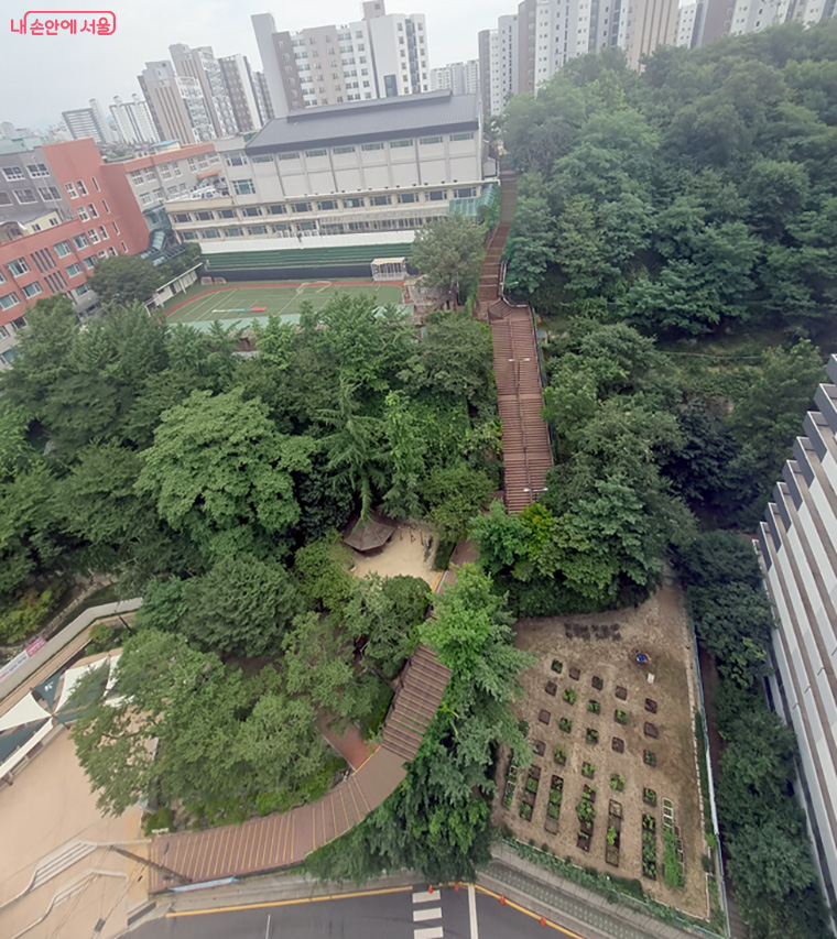 현재 중구 신당동 사업대상지 전경. 33도 이상 급경사 계단 214개가 설치돼 있으며, 건물 11층 높이다.