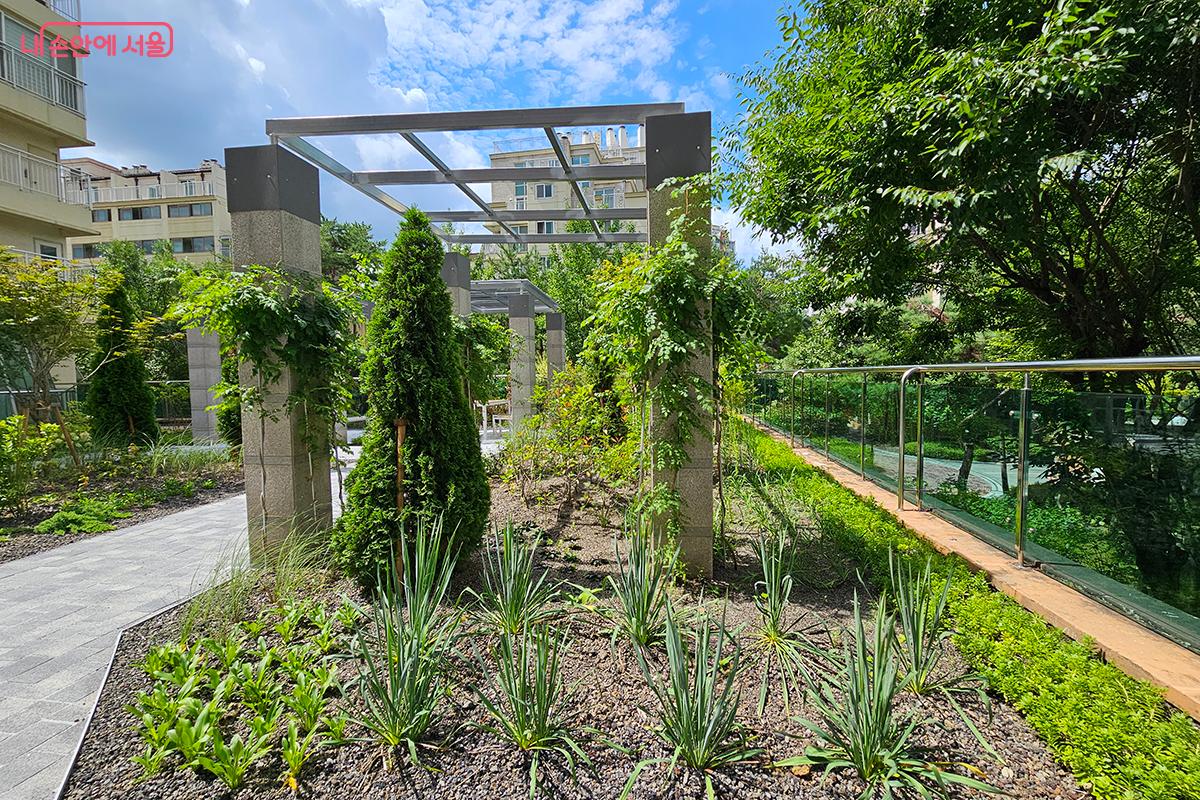 텃밭처럼 조성된 녹지 공간은 아이들에게 살아 있는 놀이터이자 자연 교실이 되어준다. &copy;정향선 