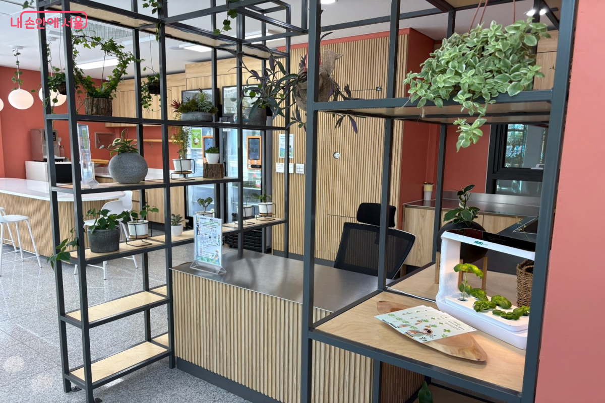 반려식물 클리닉 직판장의 모습 &copy;이혜린