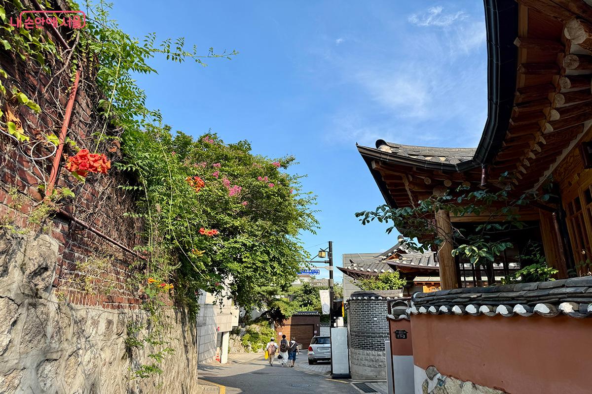 주인공 진우와 루미가 만나 거닐던 한옥 골목길 ©김미정