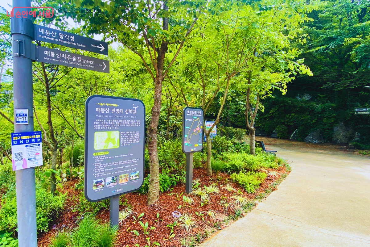 ‘매봉산 전망대 산책길’과 ‘치유숲길’을 안내하는 이정표가 서 있다. ©양정화