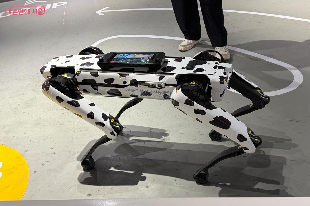 사람과는 관절 방향이 반대로 만들어진 로봇개의 모습 ©이미현