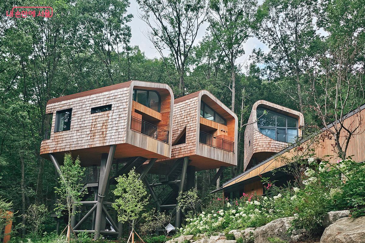 언젠가는 저 트리하우스에서 하룻밤을 보내며 별을 바라보고 싶다는 소망이 생겼다. &copy;문청야