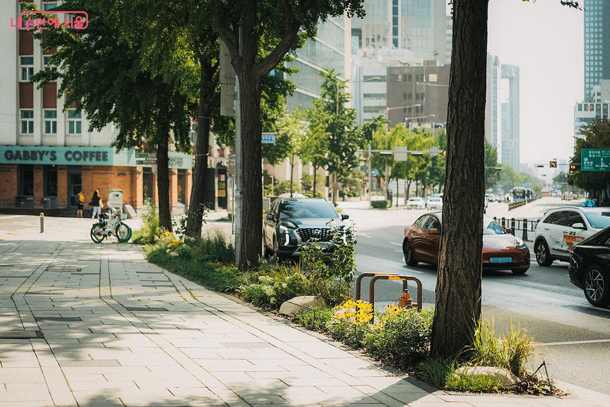 보행로와 도로 사이에 조성된 '가로 정원'은 도시 미관을 아름답게 할 뿐만 아니라, 보행자의 안전에도 도움이 된다. ©김아름