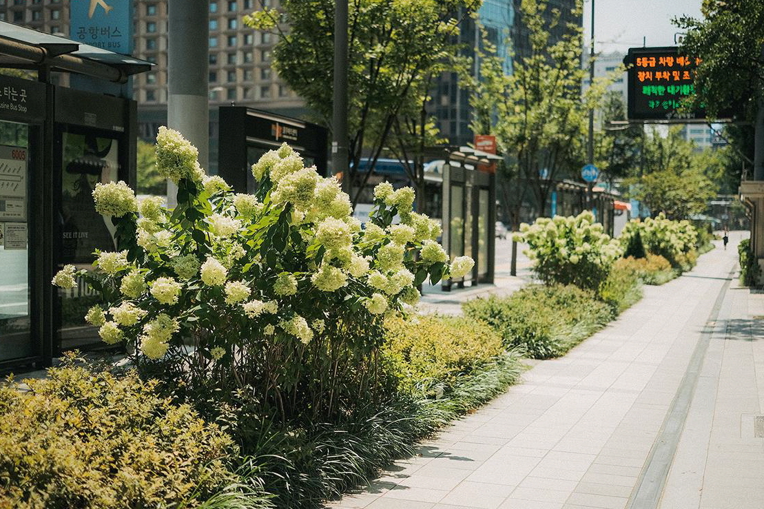 한 뼘 정원·교통섬 정원·가로 정원…'도심 속 오아시스' 찾아볼까