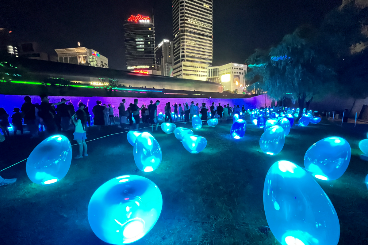 DDP의 특별한 밤 공개! 여름 스페셜 투어 '매혹적이거나' 다녀왔어요~