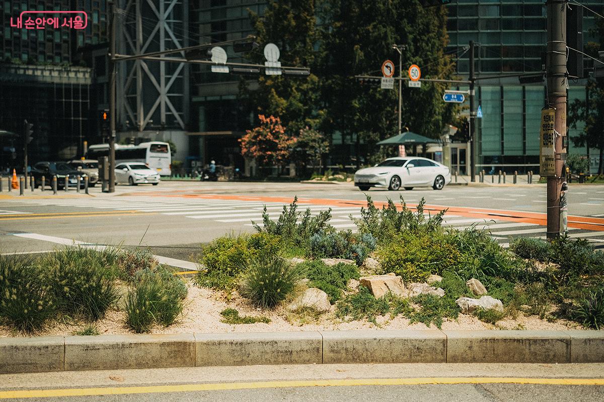 '교통섬 정원'은 건널목을 건너는 보행자, 운전자 모두에게 짧게나마 휴식을 제공한다. ©김아름