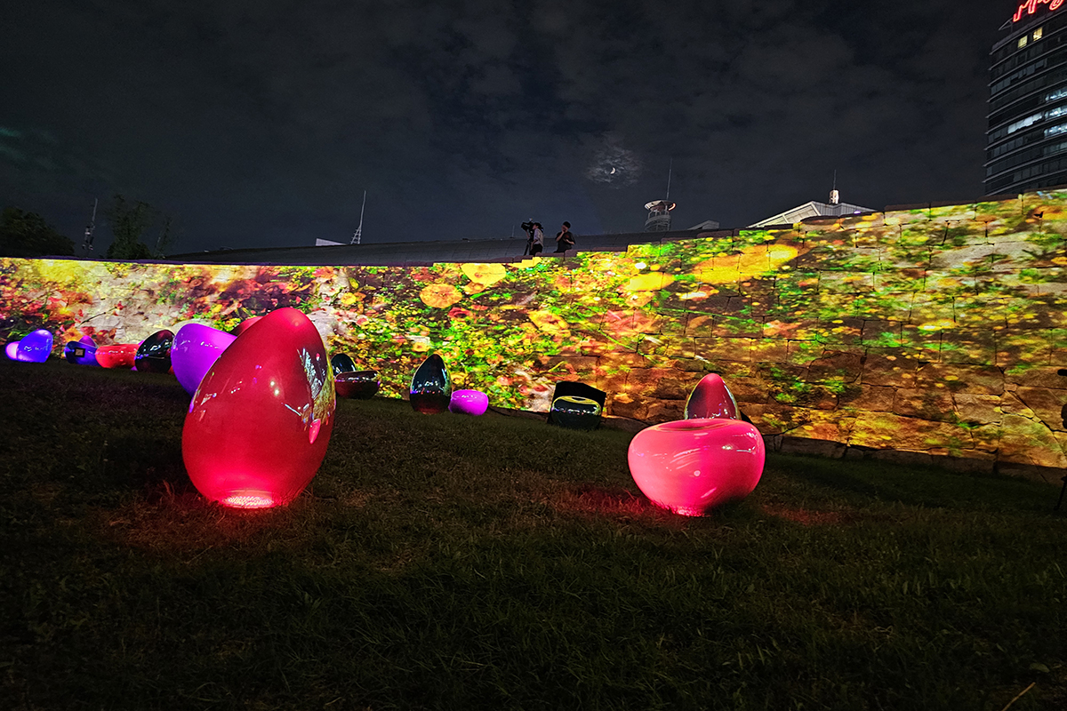 여름밤의 DDP는 살아 있는 캔버스! '서울라이트' 여름편 감상하세요