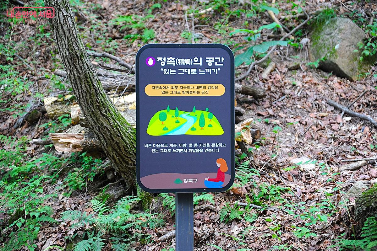 &lsquo;정촉의 공간&rsquo;은 계곡, 바람, 물을 만날 수 있는 쉼터다. &copy;조수봉