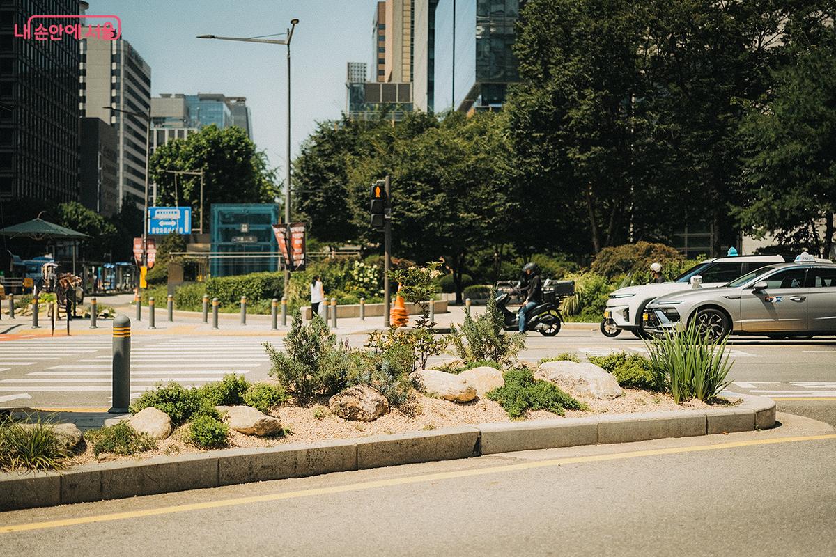종로1가 사거리 곳곳에 조성된 '교통섬 정원' ©김아름