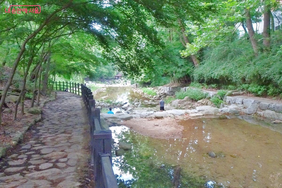 맑은 계곡과 울창한 숲의 '관악산 계곡 나들길' &copy;김종성
