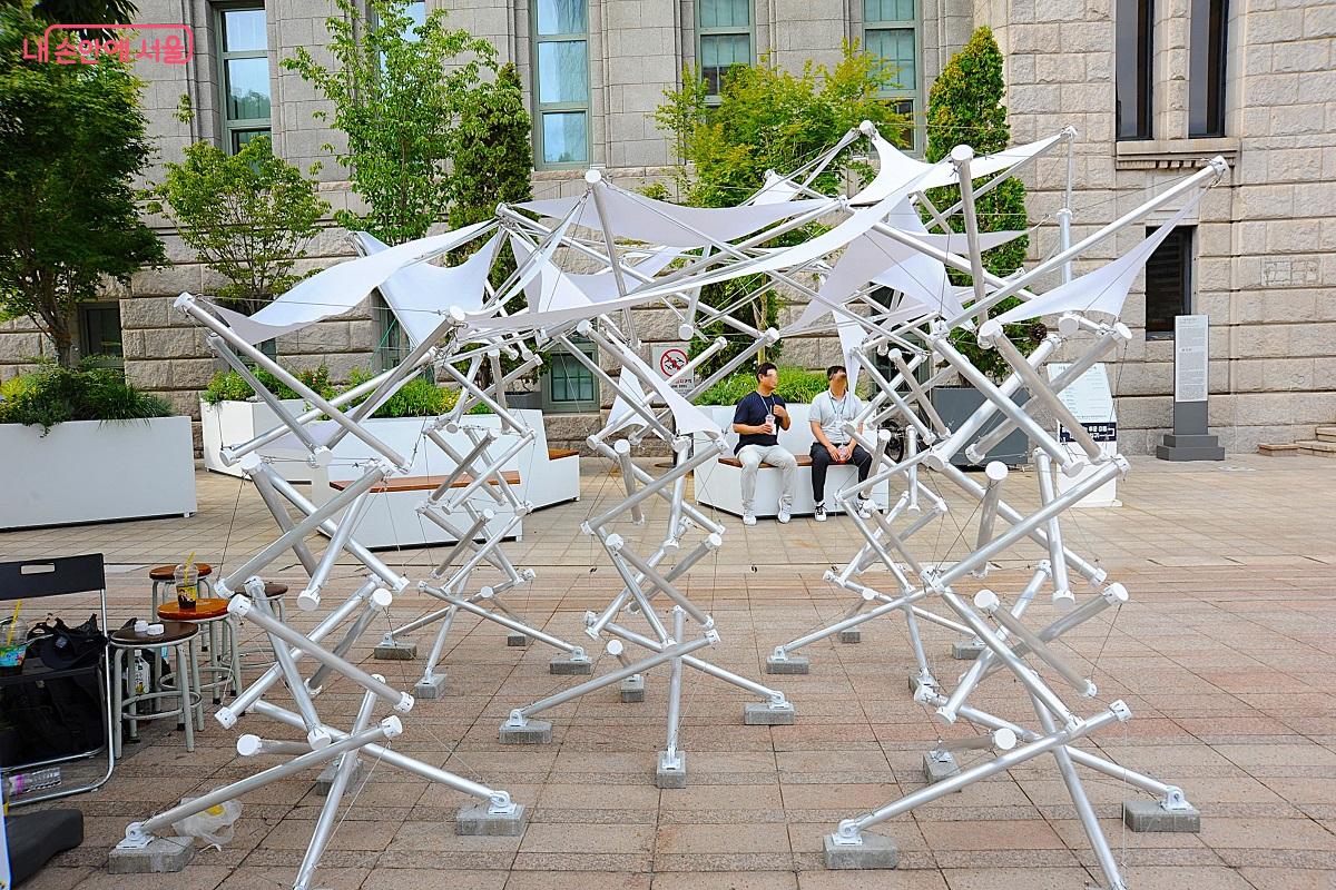 세종대, ‘I’m Fine, I’m Pine’은 소나무의 생존 방식을 재해석한 결과물 ©조수봉