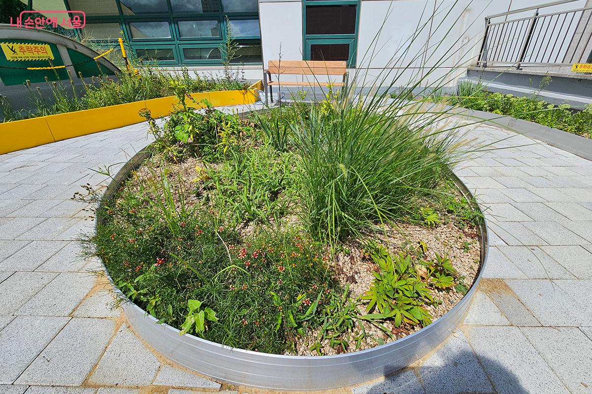 &lsquo;온빛뜰&rsquo;은 강동구민 공모전을 통해 선정된 명칭으로 의미가 있다. &copy;정향선 