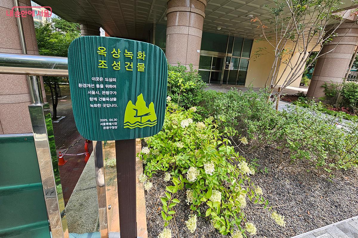 기후대응에도 탁월한 옥상 녹화는 세계적으로 중요시되고 있다. &copy;정향선 