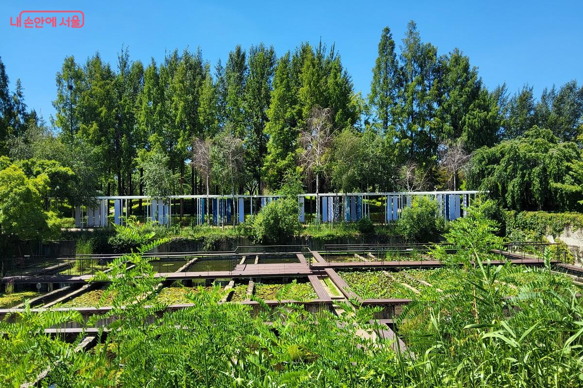 정수장 시절, 잔여 불순물을 제거하던 급속여과지로 사용되었던 수생식물원 ©권수진