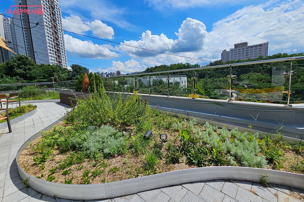 옥상정원 &lsquo;온빛뜰&rsquo;은 초화류가 중심이 된 정원으로 꾸며진 점이 가장 큰 특징이다. &copy;정향선 