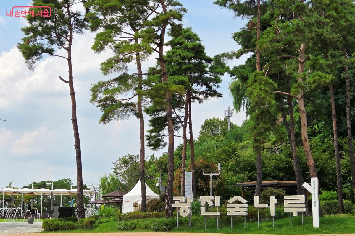 '광진숲나루'에서 볼 거리와 즐길 거리가 풍성하다. ©김미선