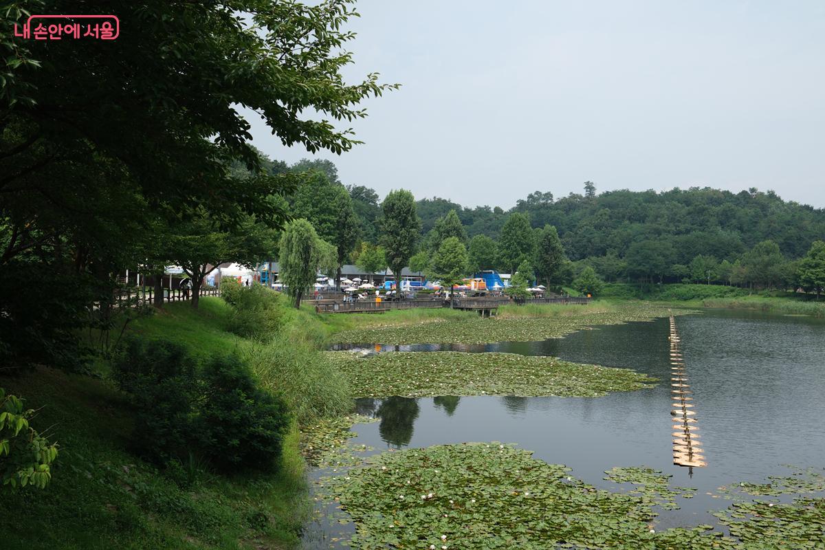 시원한 물놀이부터 이색적인 공원 산책까지 가능한 '서서울호수공원' ©박우영