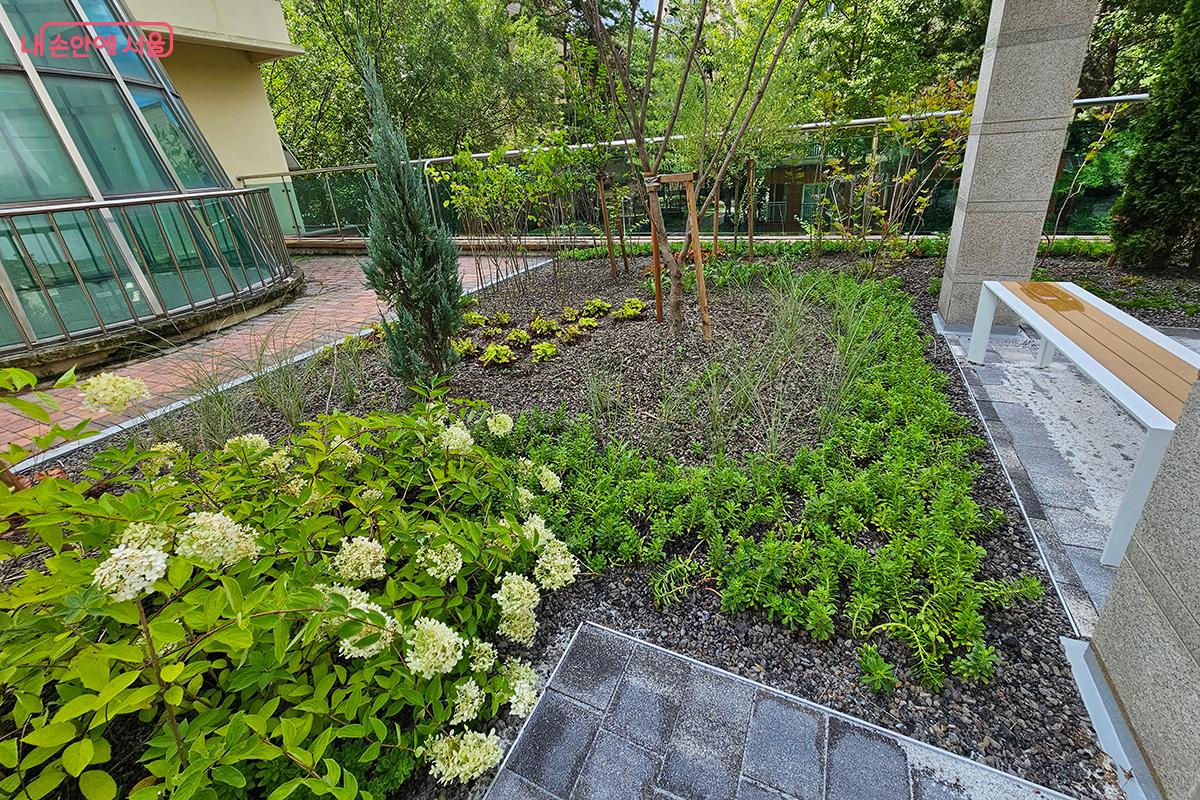 도심 속에서 아이들이 마음껏 뛰놀고 자연을 체험할 수 있는 공간이 탄생했다. &copy;정향선 