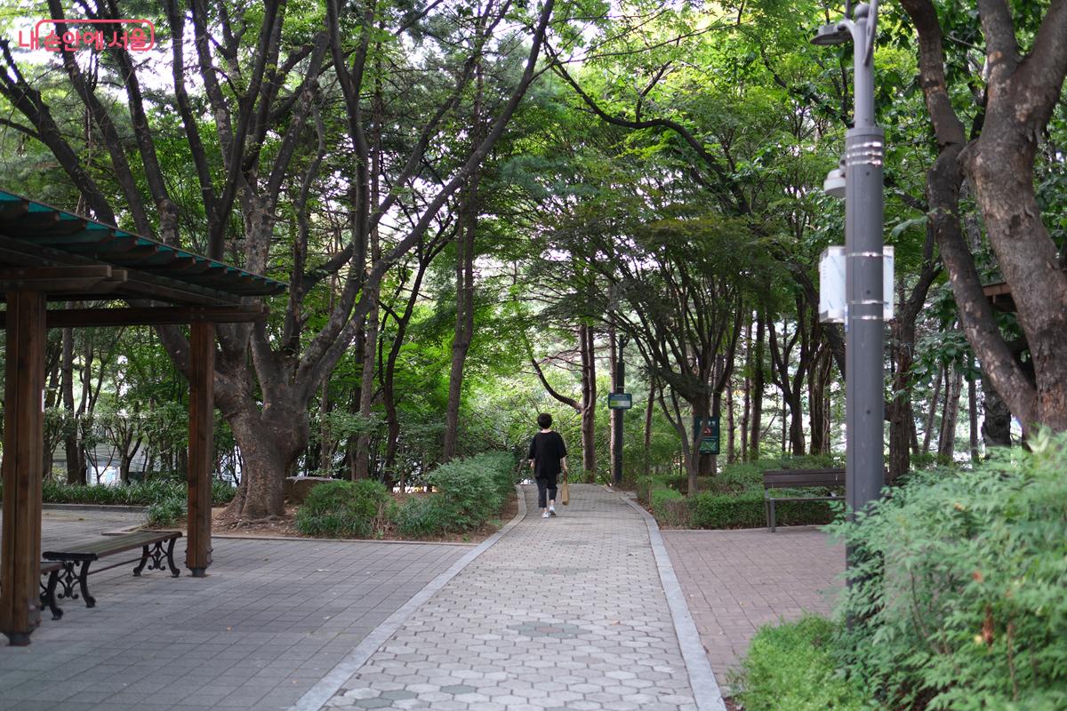 해맞이역사도서관 마당과 이어져 있는 ‘해맞이공원’ 산책로로 ‘독서공원’으로도 불린다. ©박우영 