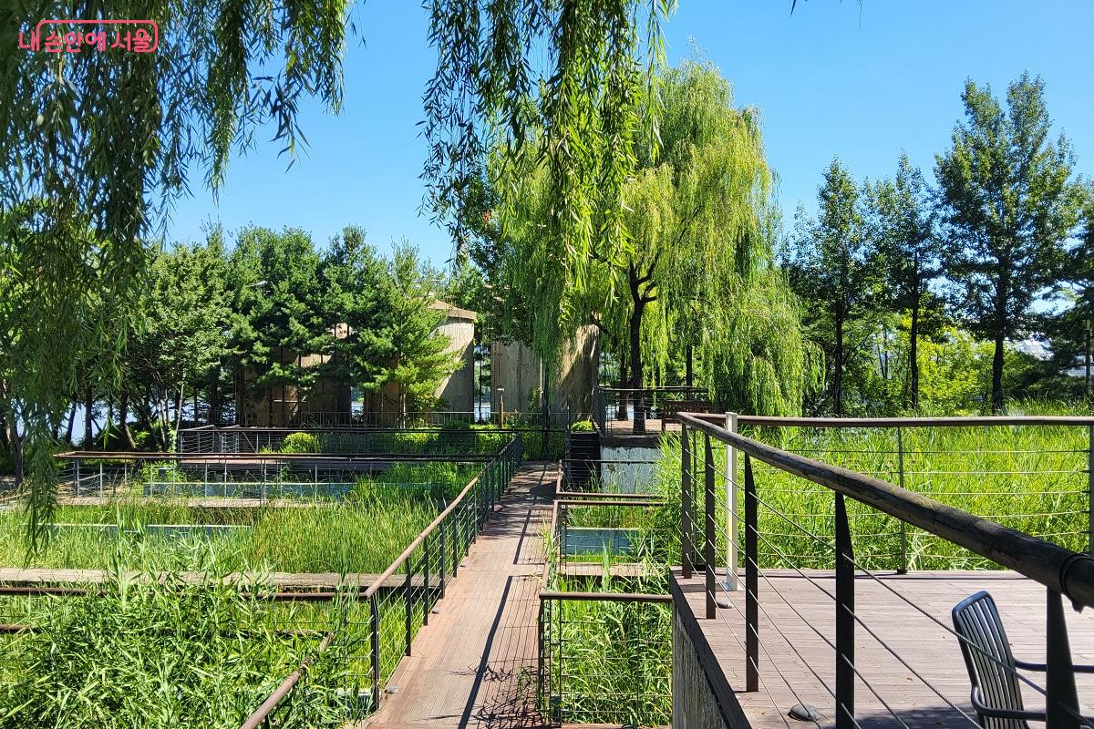 제2침전지로 사용되던 수질정화원은 계단식 구조로 수생식물을 통해 물이 정화되는 과정을 볼 수 있다. ©권수진