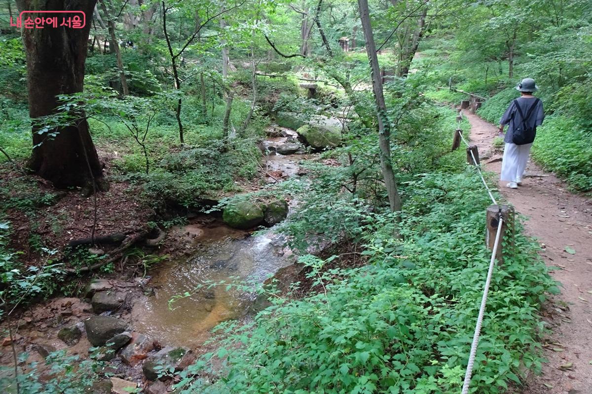 물 맑고 숲 울창한, 백사실 계곡 ©김종성 