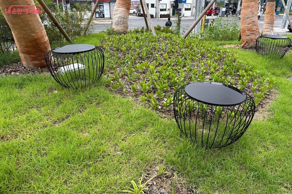 청사 외부는 잘 가꿔진 조경이 눈길을 끈다. ©김재형