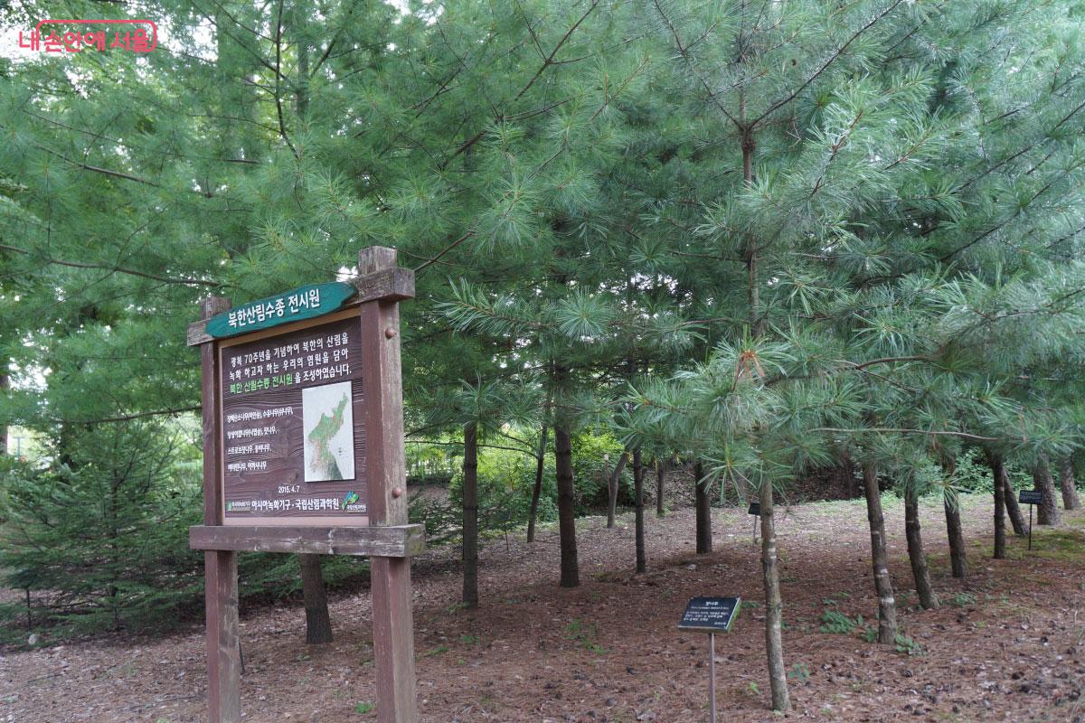북한의 산림을 녹화하고자 하는 마음을 담은 '북한산림수종 전시원'의 나무들 &copy;홍혜수 