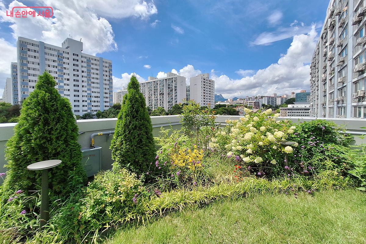 &lsquo;달빛정원&rsquo;에 심어진 수국, 배롱나무와 가시나무들이 휴식의 공간을 만들어낸다. &copy;정향선 