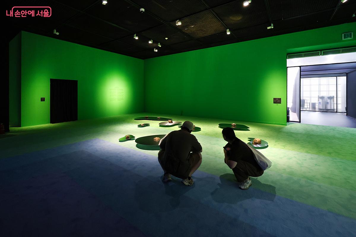 '실천적 우주론'을 감상 중인 시민들의 모습 ©김주연