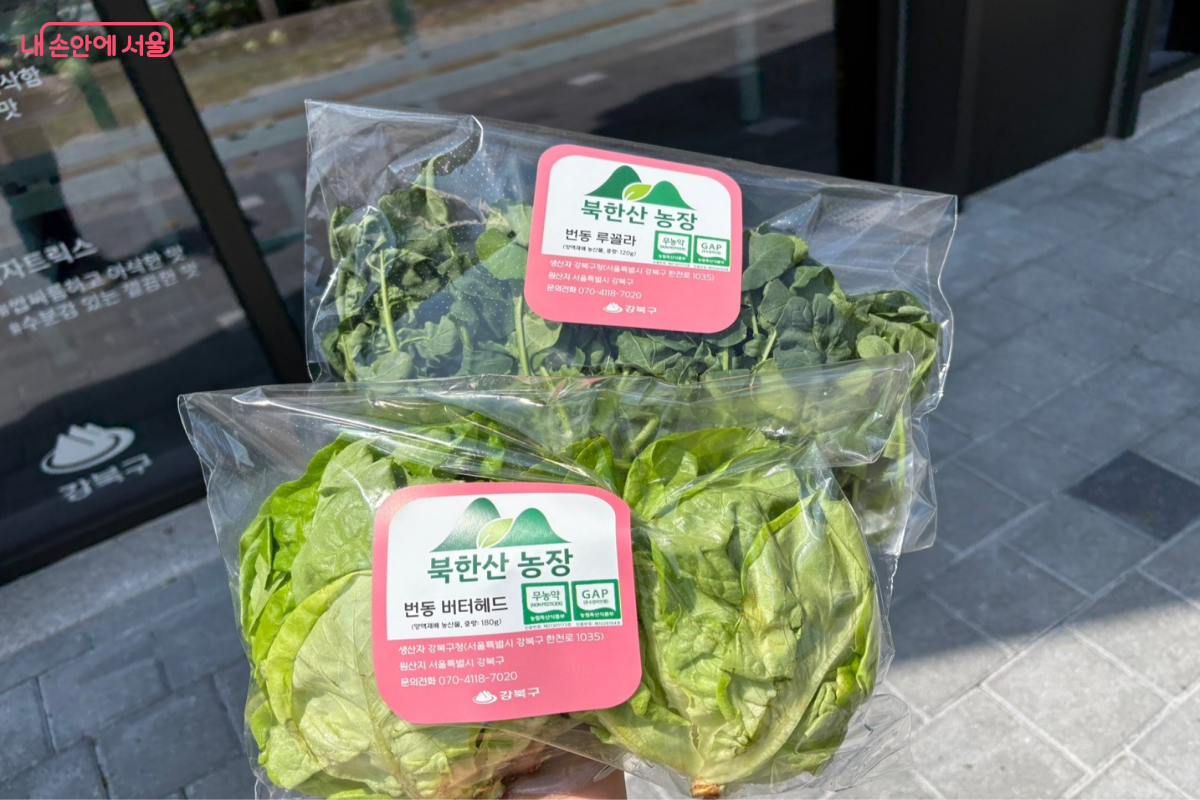 루꼴라와 카이피라를 구매한 모습 &copy;이혜린