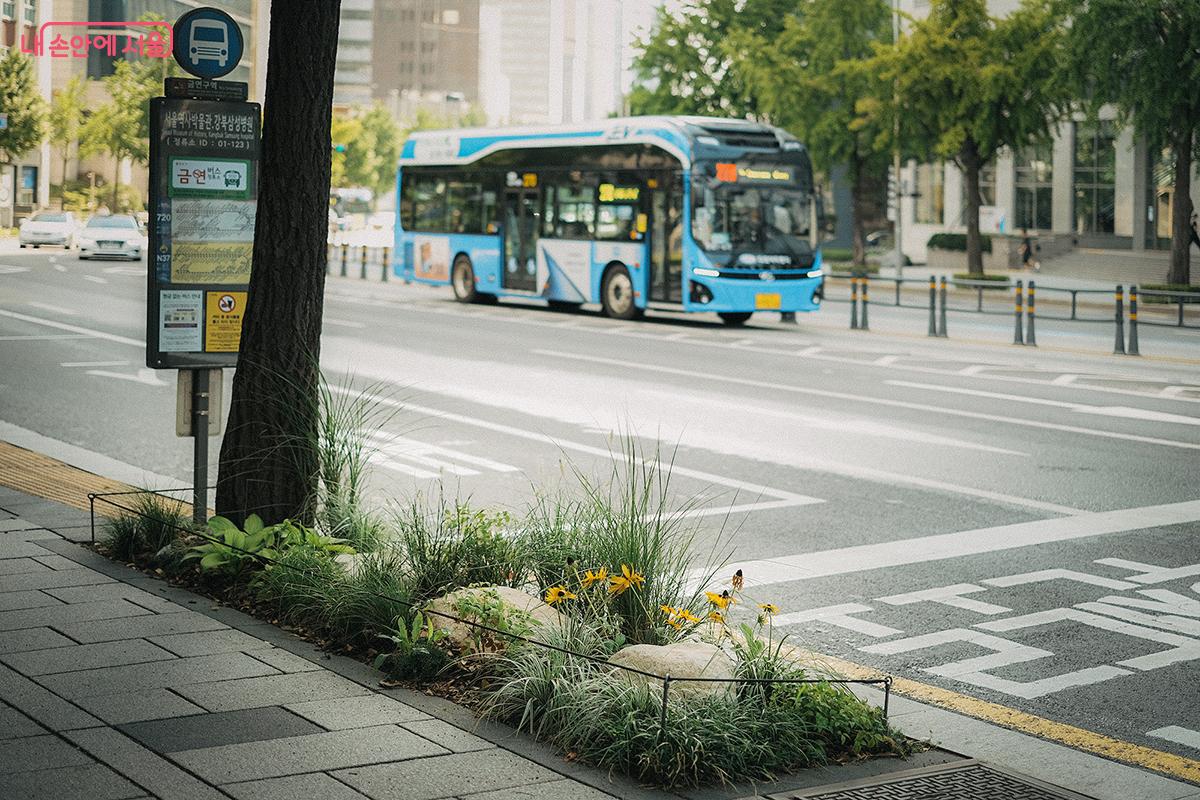 버스정류장 앞 작게 조성된 정원 덕분에 기다림의 시간도 지루하지 않다. ©김아름