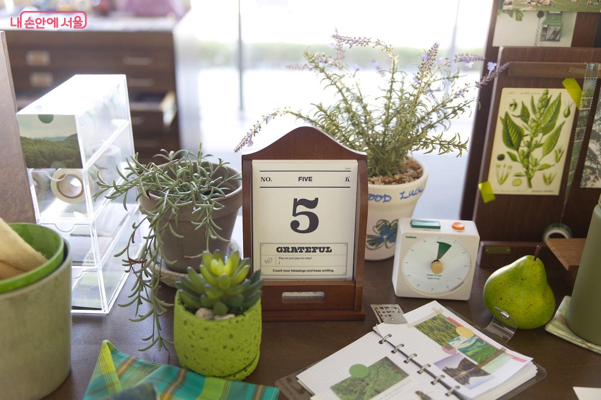 자연을 찾아 떠난 힐링 여행이 연상되는 여행작가의 책상 &copy;임중빈