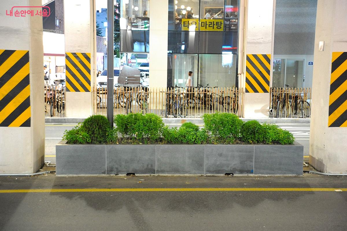 플랜터 화단의 식물 생장을 위해 LED 생육등과 자동 관수 시스템을 설치했다. ©조수봉