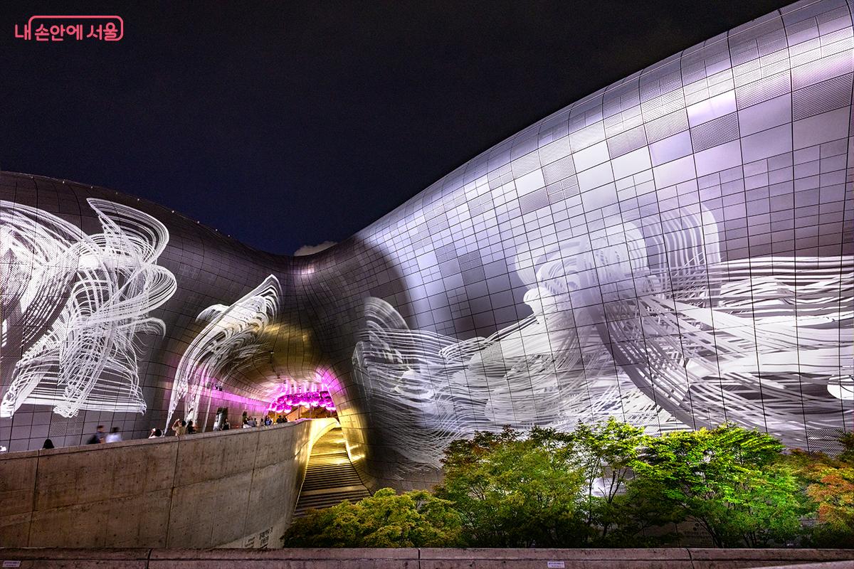 AI가 바라본 자연, Sora 협업작 &copy;장신자