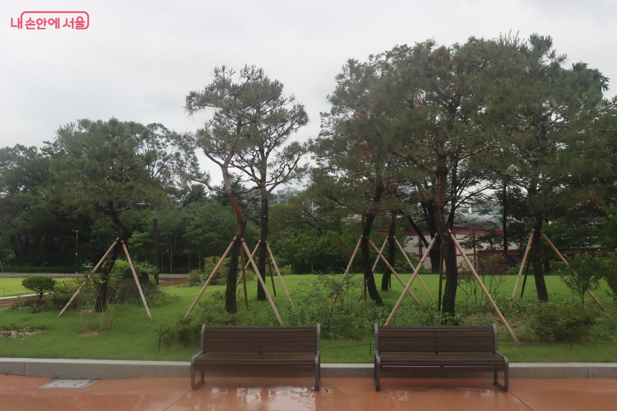 어도의 정비와 공원화로 인해 역사문화공원으로 재탄생된 경희궁 &copy;조수연