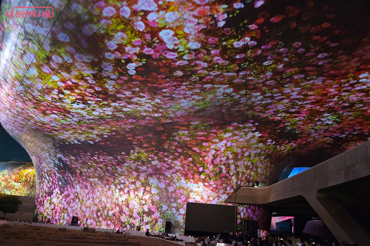 벚꽃나무를 떠올리게 하는 광경이 펼쳐졌다. &copy;김진호