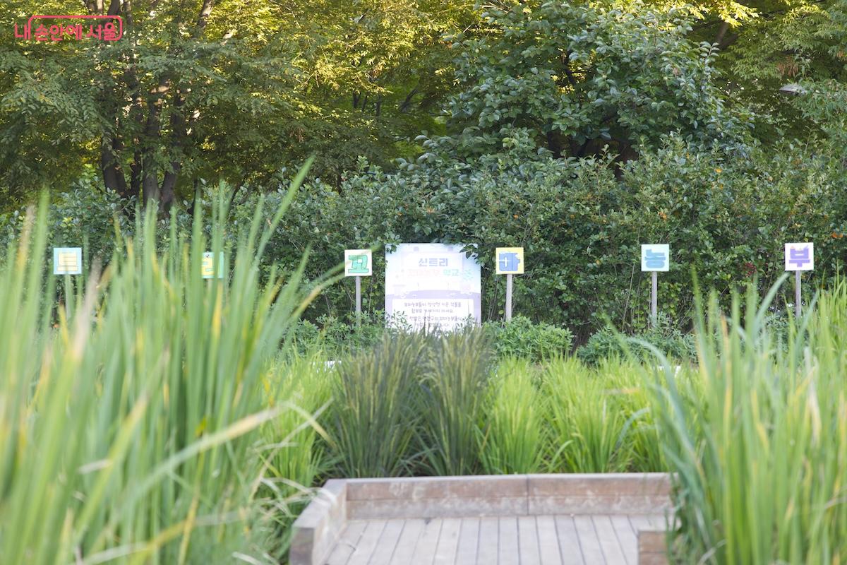 적당한 규모의 텃밭이 운용되고 있어 나름의 볼거리를 제공해주고 있는 모습 ©임중빈