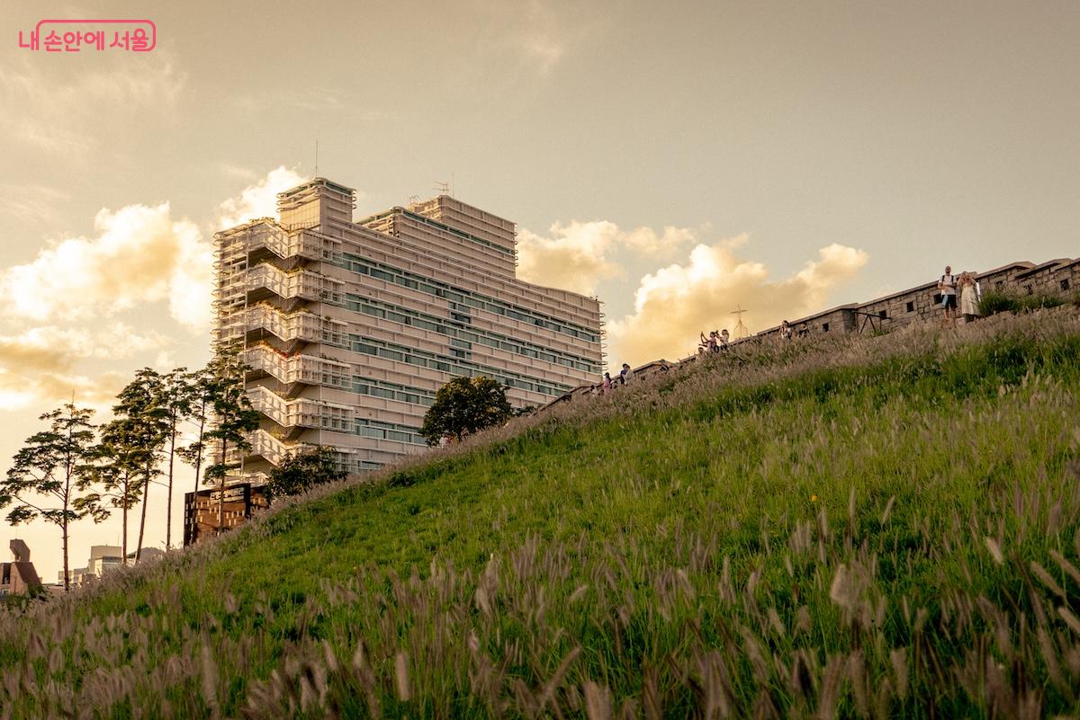 흥인지문공원에는 성곽이 있어 가을 풍경이 아름답다