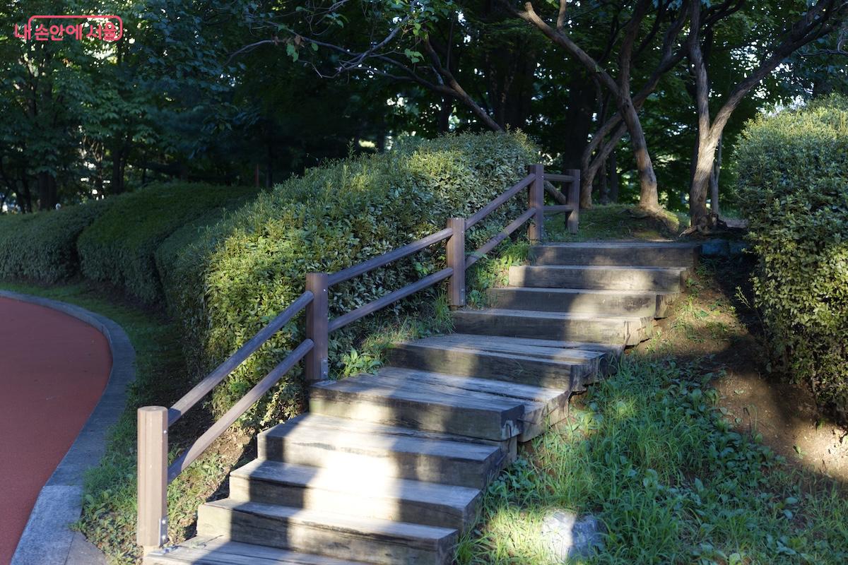 기존 산책로는 전면 개편보다는 잡목 제거 등 편의를 위한 최소한의 환경개선을 진행했다. ©임중빈